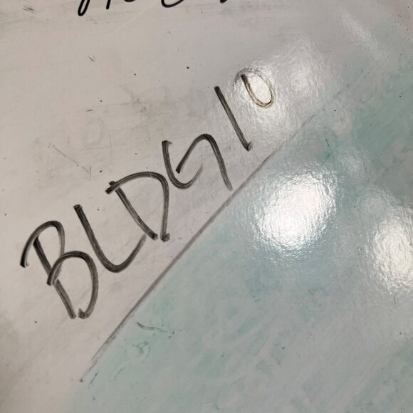 Kaiser Decorative Bird Plate By H. Auge Bergfink Design 8" Dia Floral Pink - Picture 10 of 10